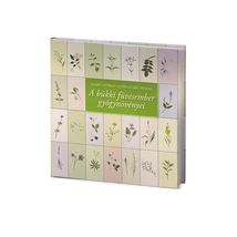 A bükki füvesember gyógynövényei